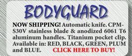 The BodyGuard